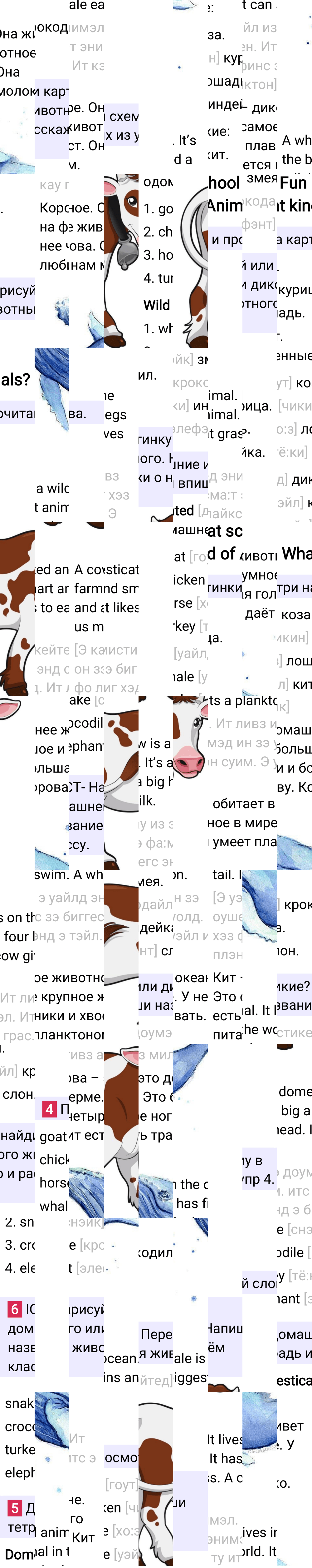 Ответ к 13-й странице учебника по английскому языку за 3 класс Быкова, Дули. Часть 2, 2023-2025.
