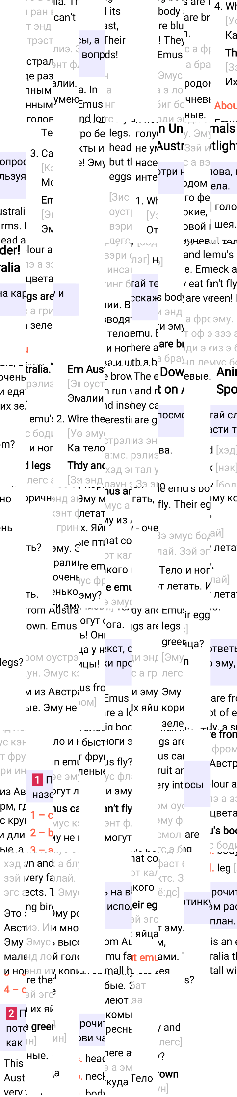 Ответ к 17-й странице учебника по английскому языку за 3 класс Быкова, Дули. Часть 2, 2023-2025.