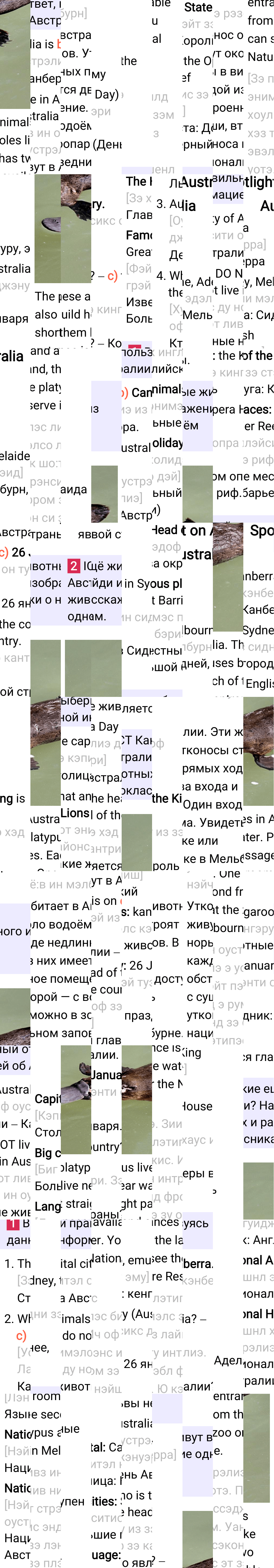 Ответ к 81-й странице учебника по английскому языку за 3 класс Быкова, Дули. Часть 2, 2023-2025.