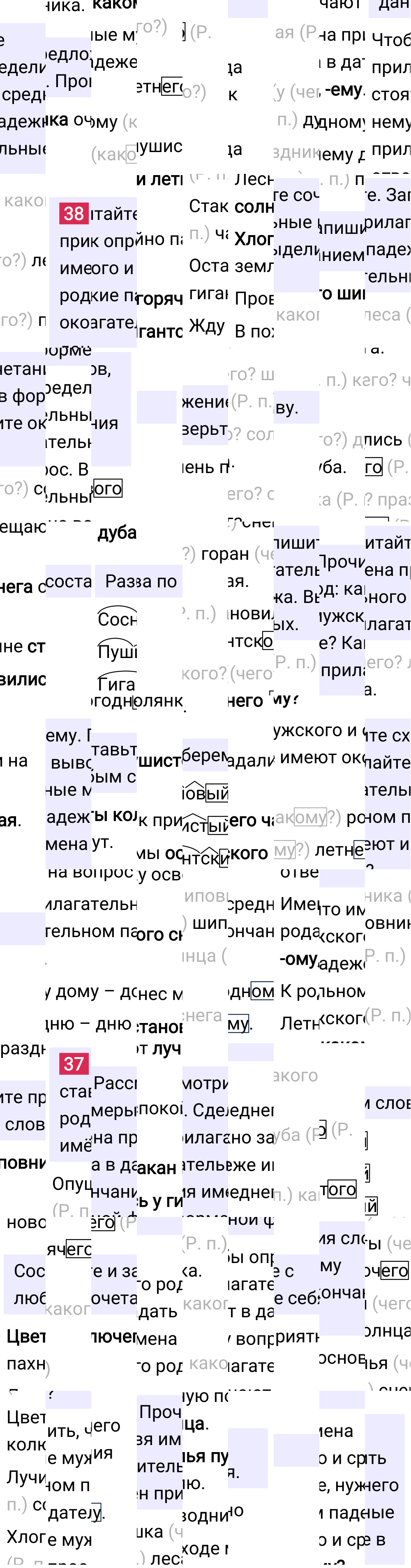 Ответ к 20-й странице учебника по русскому языку за 4 класс Канакина, Горецкий. Часть 2, 2023-2025, изображение 2.