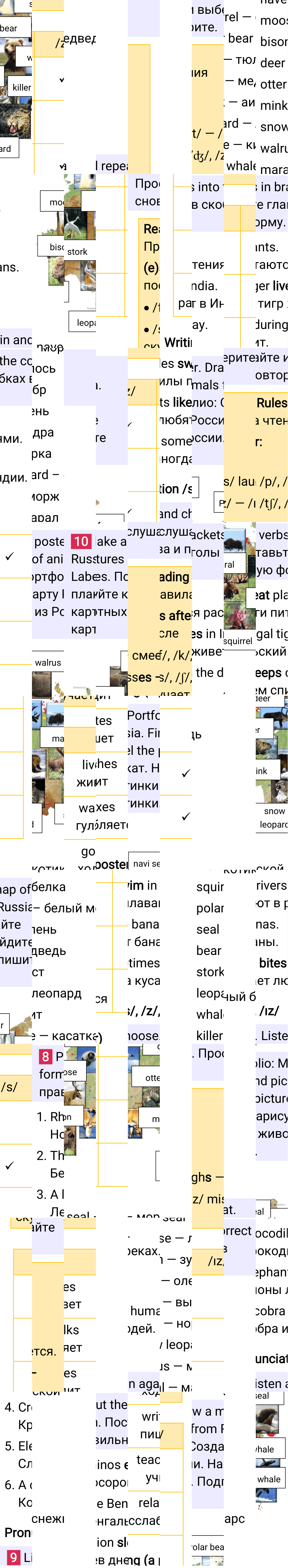 Решение к странице 67 учебника по английскому языку за 5 класс Ваулина, Дули, 2023-2025, изображение 2.