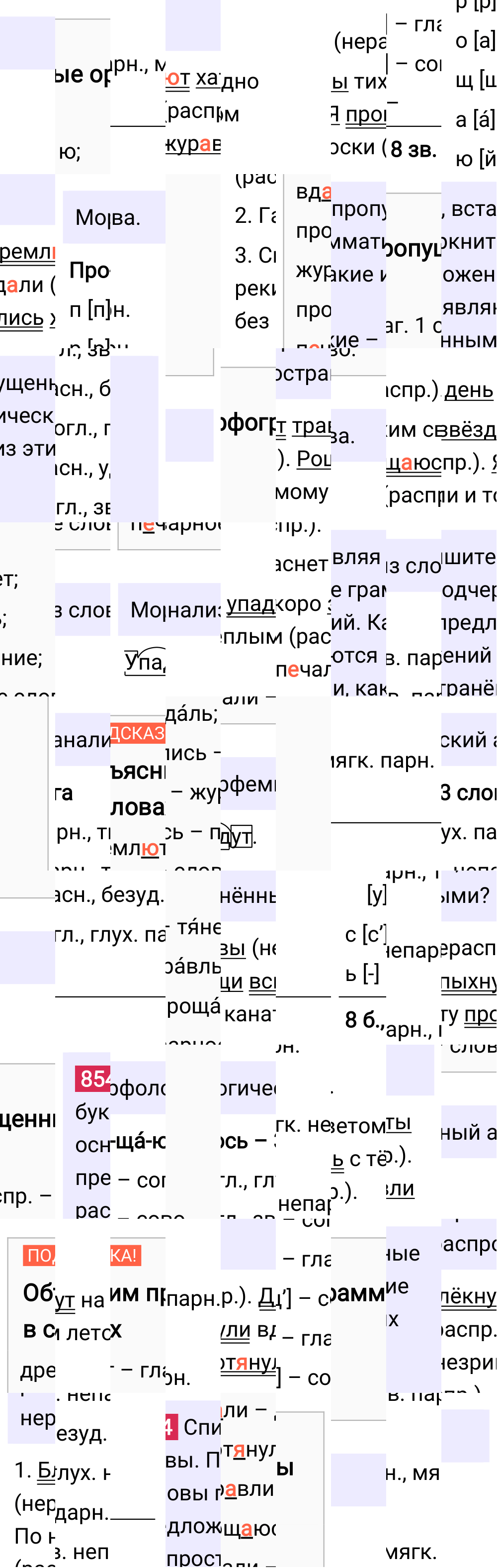 Ответ к упражнению 854 учебника по русскому языку за 5 класс Ладыженская, Баранов. Часть 2, 2023-2025.