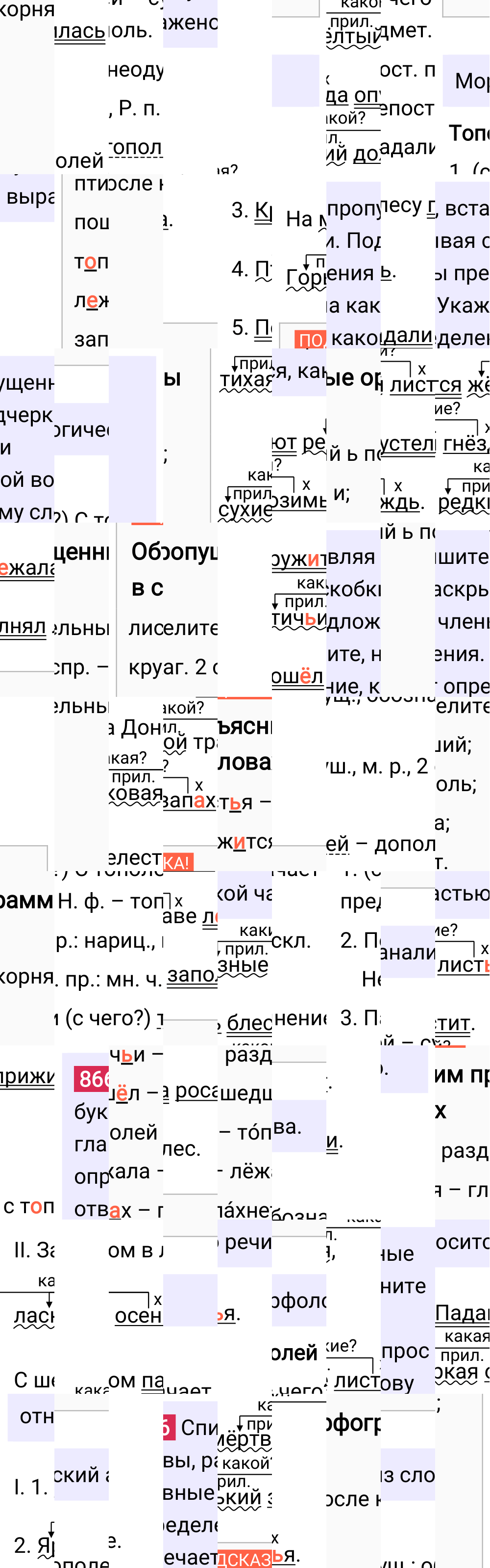 Ответ к упражнению 866 учебника по русскому языку за 5 класс Ладыженская, Баранов. Часть 2, 2023-2025.