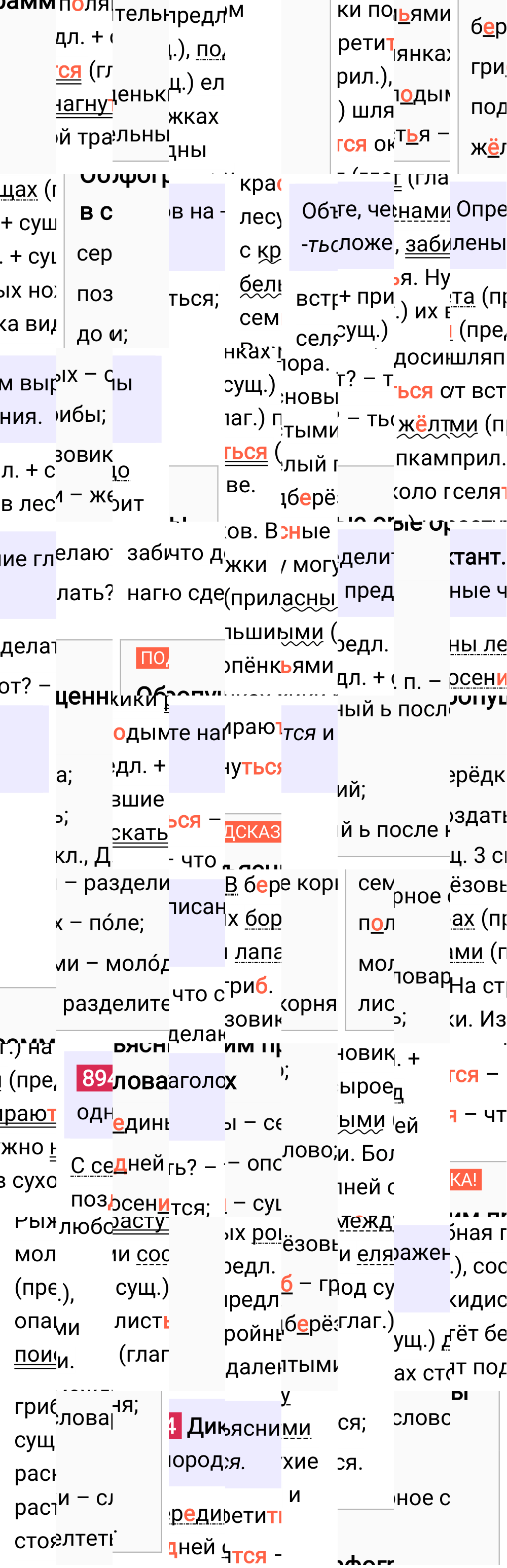 Ответ к упражнению 894 учебника по русскому языку за 5 класс Ладыженская, Баранов. Часть 2, 2023-2025.