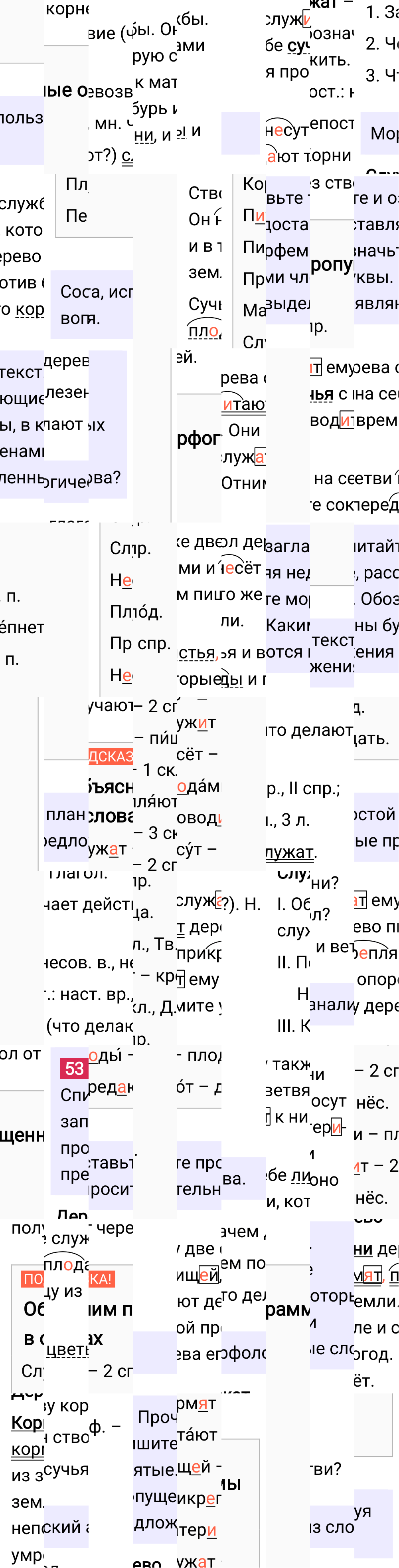 Ответ к упражнению 53 учебника по русскому языку за 6 класс Ладыженская, Баранов. Часть 1, 2023-2025.