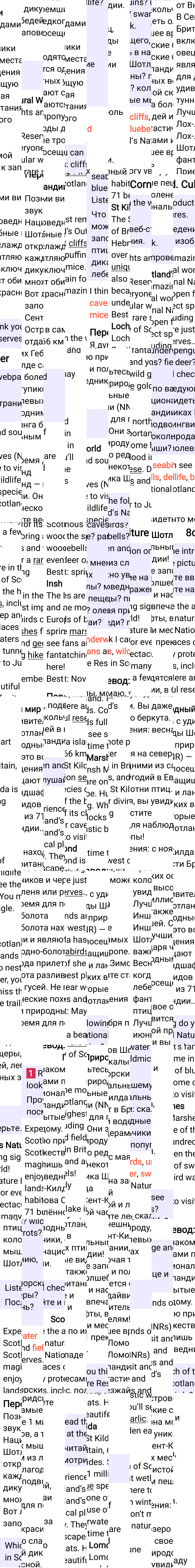 Решение к странице 81 учебника по английскому языку за 7 класс Ваулина, Дули, 2023-2025, изображение 1.