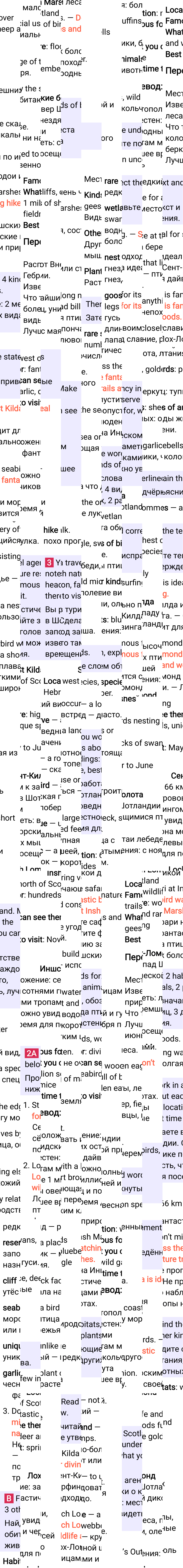 Решение к странице 81 учебника по английскому языку за 7 класс Ваулина, Дули, 2023-2025, изображение 2.