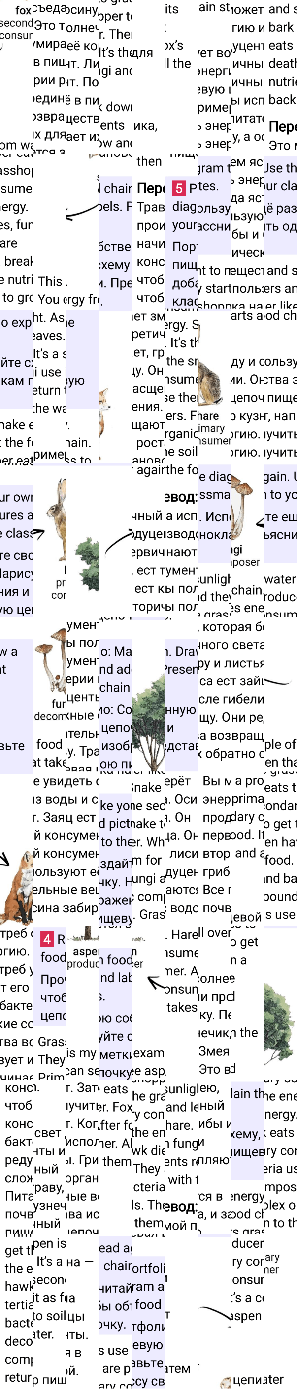 Решение к странице 83 учебника по английскому языку за 7 класс Ваулина, Дули, 2023-2025, изображение 2.